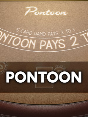 Pontoon 21